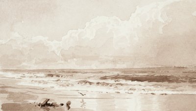 Paesaggio marino con uccello da William Trost Richards